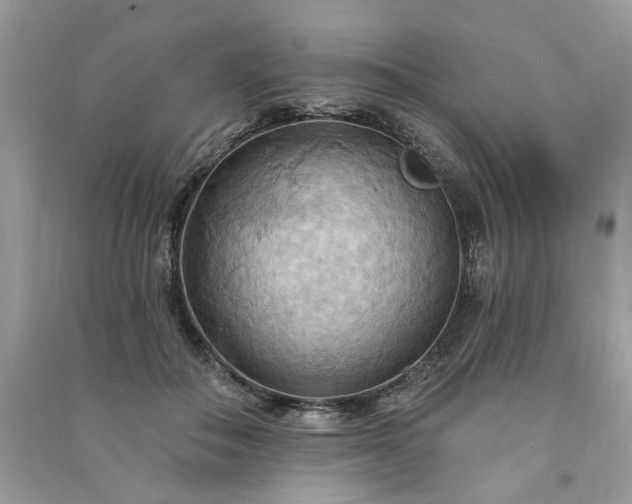 X0000090980506200708091500