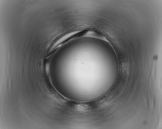 X0000090980508200708091500