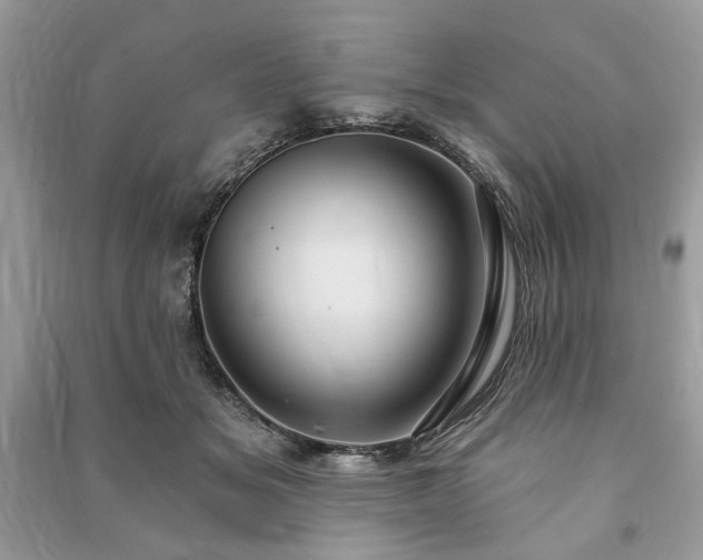 X0000090980509200708091500