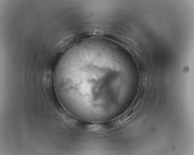 X0000090980511200708091500