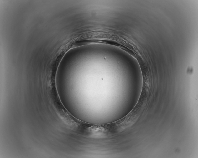 X0000090980512200708091500