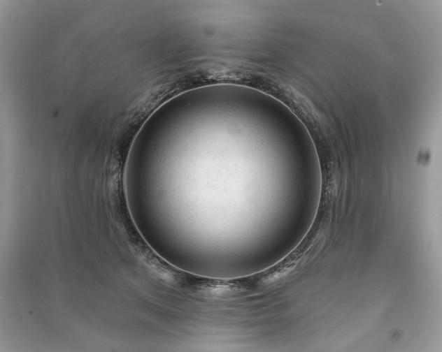 X0000090980513200708091500