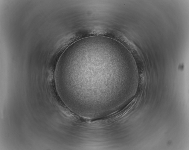 X0000090980517200708091500