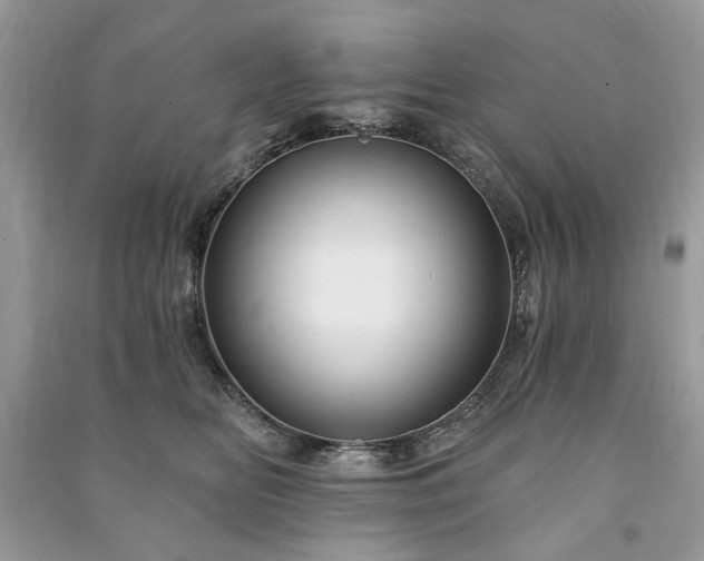 X0000090980518200708091500