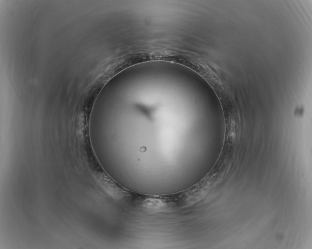 X0000090980519200708091500