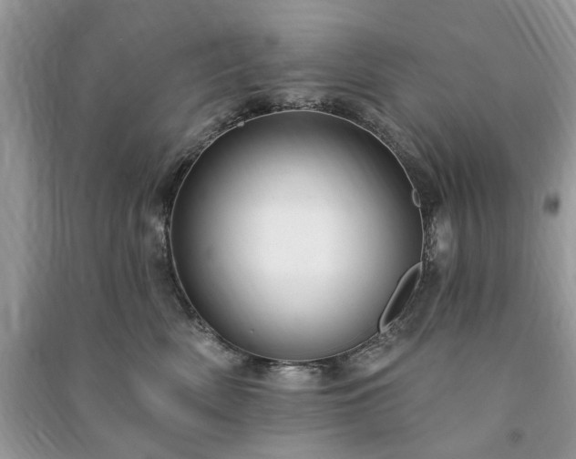 X0000090980522200708091500