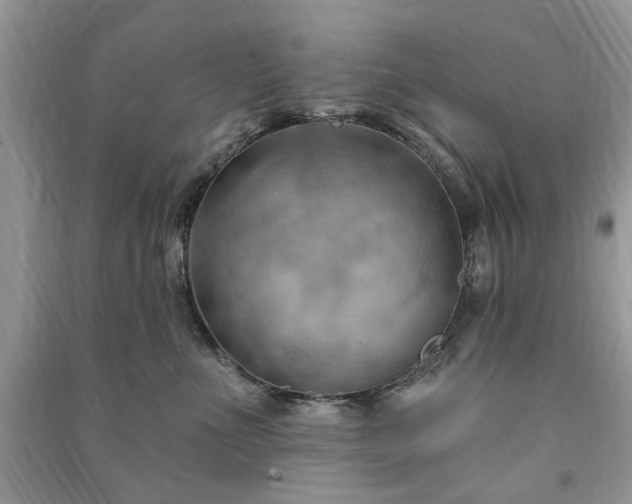 X0000090980523200708091500