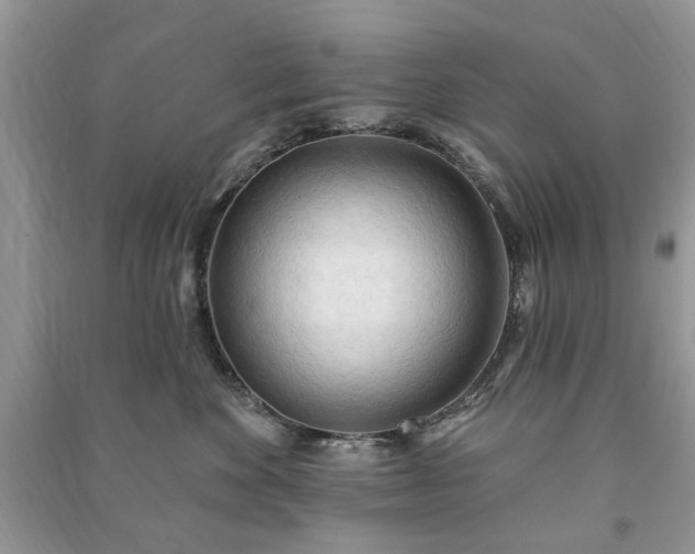 X0000090980524200708091500