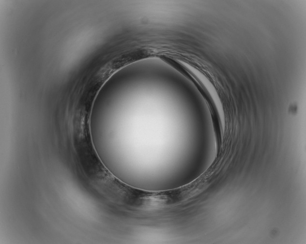 X0000090980525200708091500
