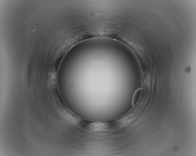 X0000090980526200708091500