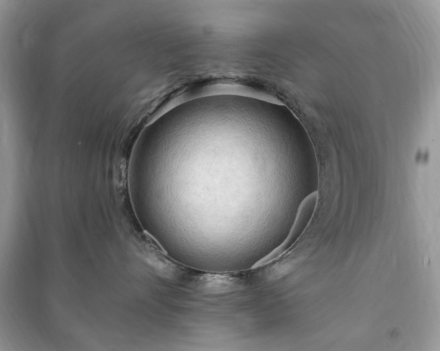 X0000090980528200708091500