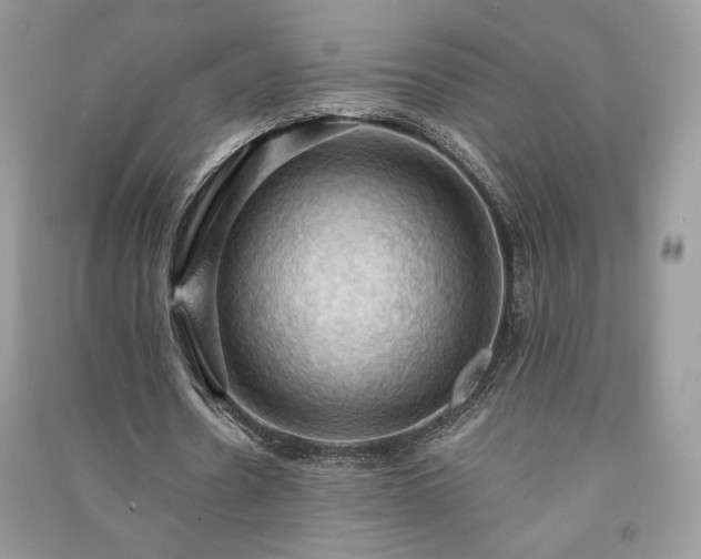 X0000090980530200708091459