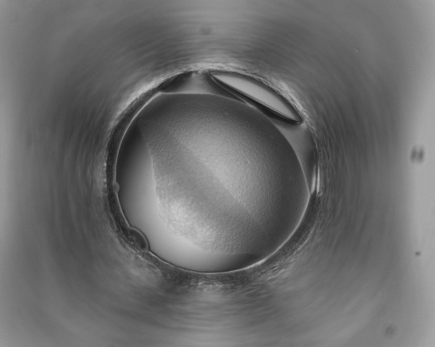 X0000090980531200708091459