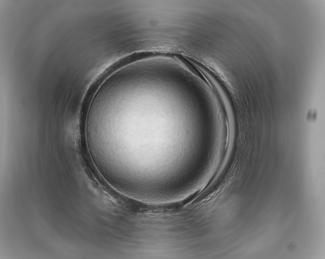 X0000090980532200708091459