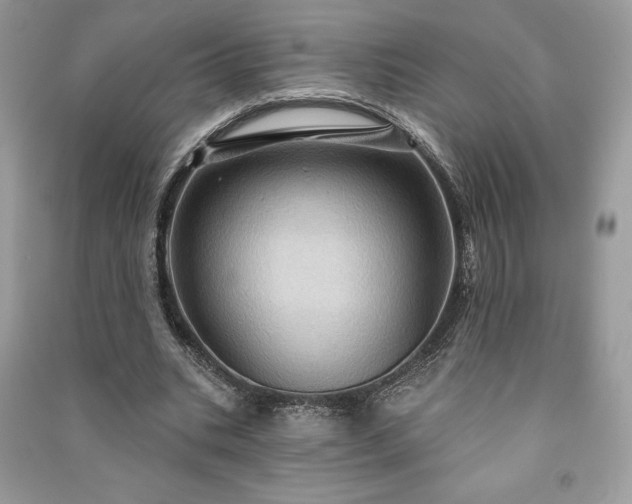 X0000090980535200708091459