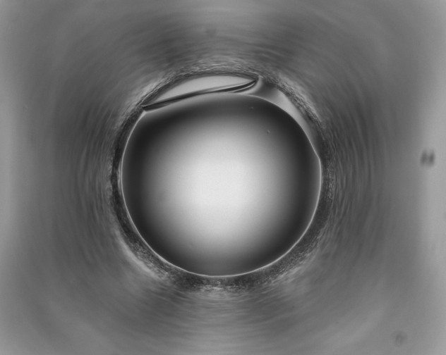 X0000090980538200708091459