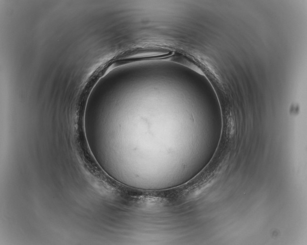 X0000090980539200708091459