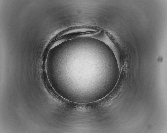 X0000090980540200708091459