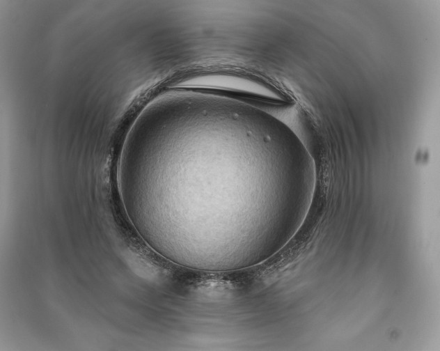 X0000090980543200708091459