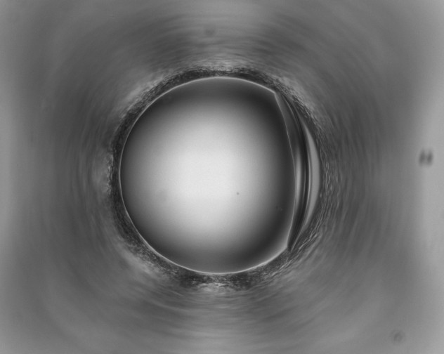 X0000090980544200708091459