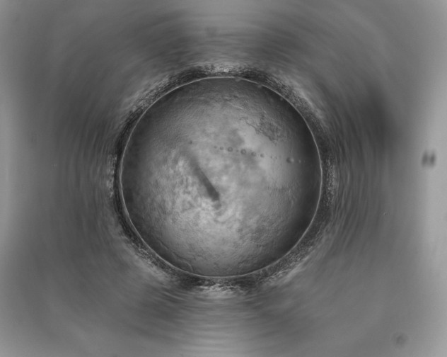 X0000090980545200708091459