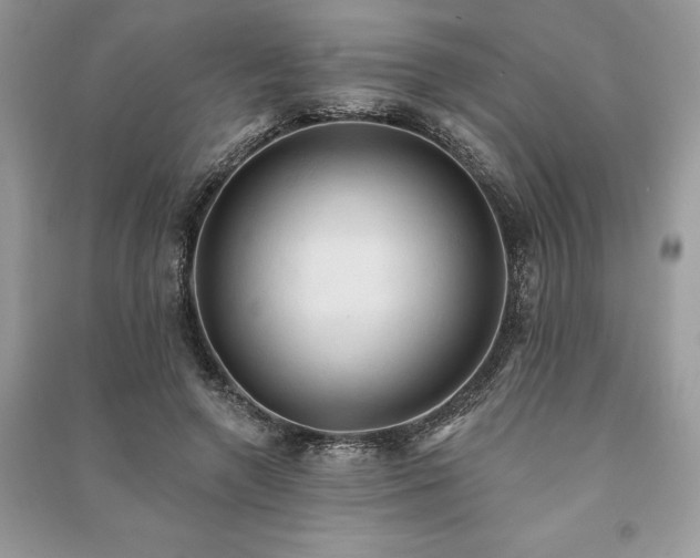 X0000090980546200708091459