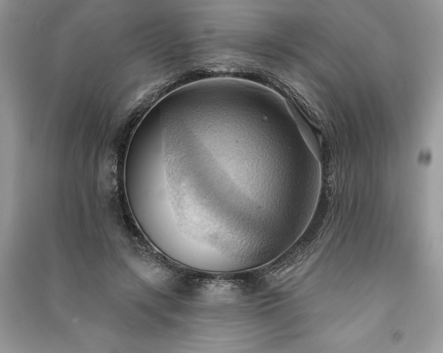 X0000090980547200708091459