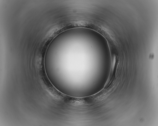 X0000090980548200708091459