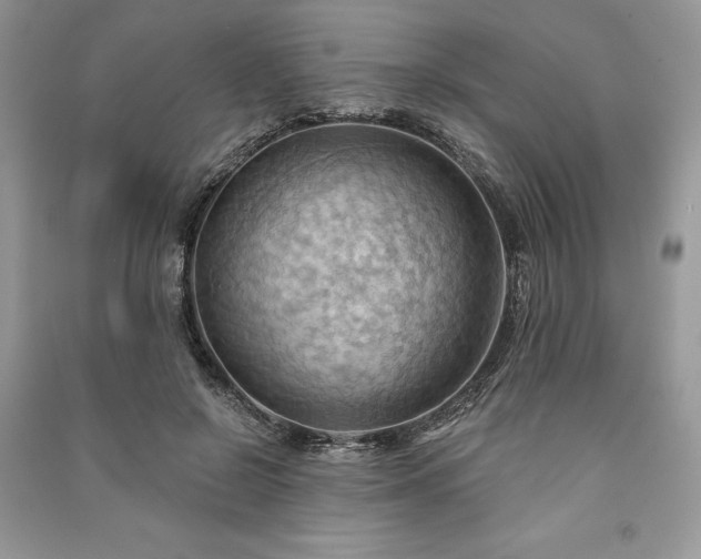 X0000090980550200708091459