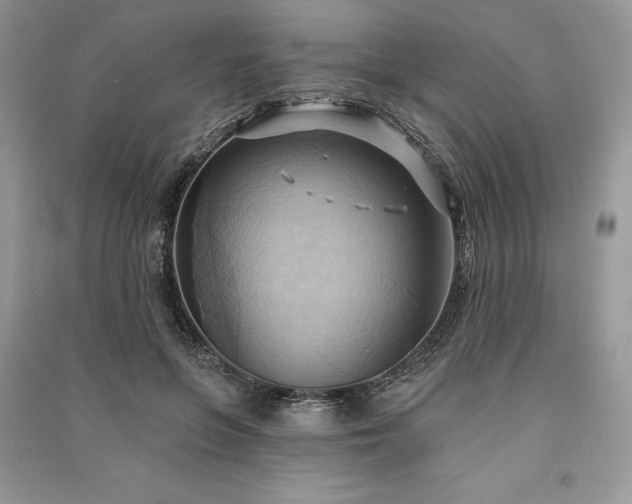 X0000090980551200708091459