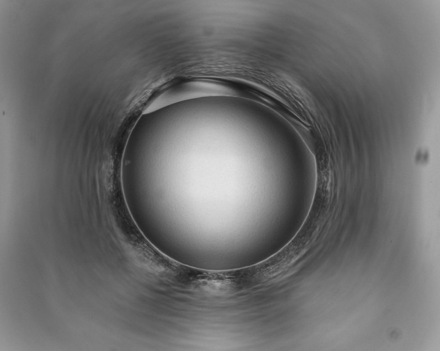 X0000090980552200708091459