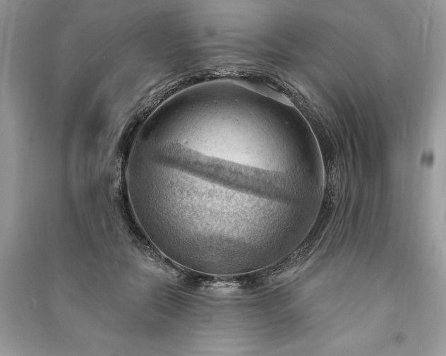 X0000090980554200708091459