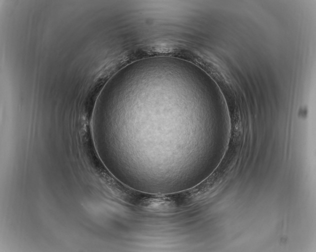 X0000090980555200708091459