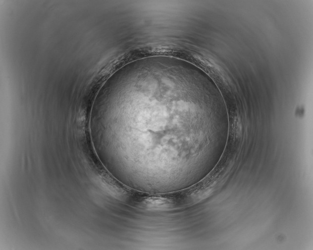 X0000090980557200708091459