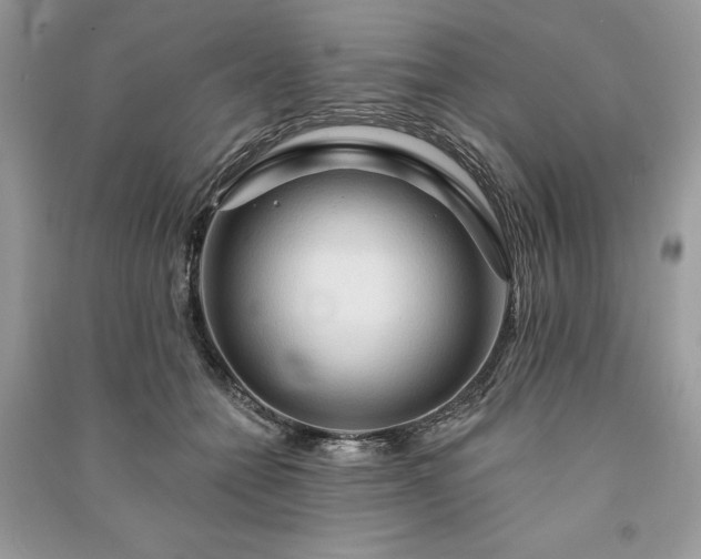 X0000090980558200708091459