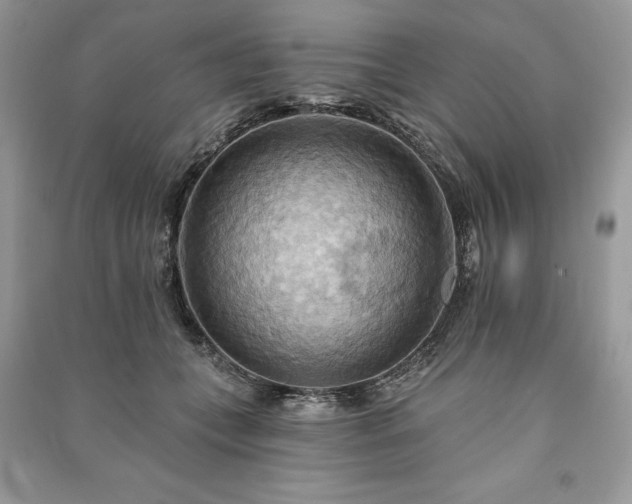 X0000090980559200708091500