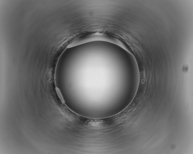 X0000090980560200708091500