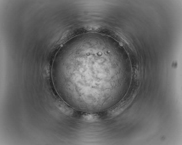 X0000090980561200708091500