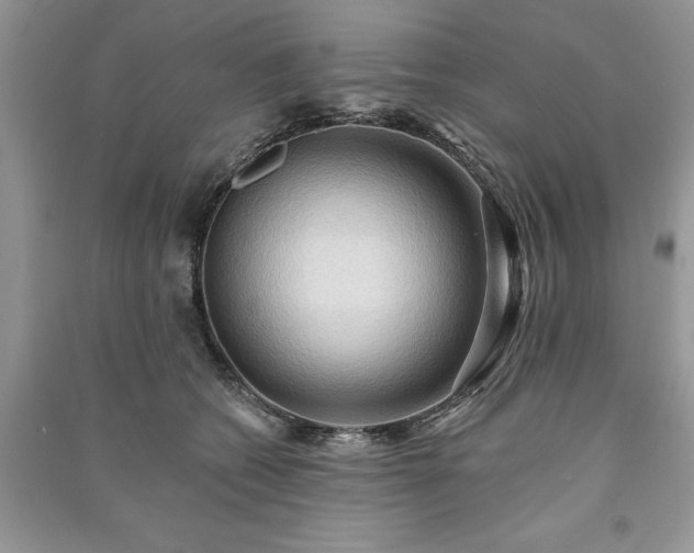 X0000090980562200708091500