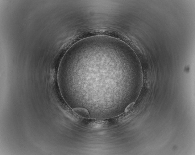 X0000090980563200708091500