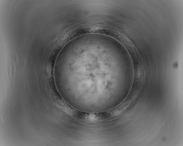X0000090980565200708091500