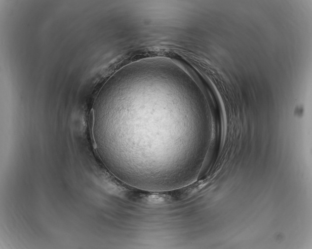 X0000090980566200708091500