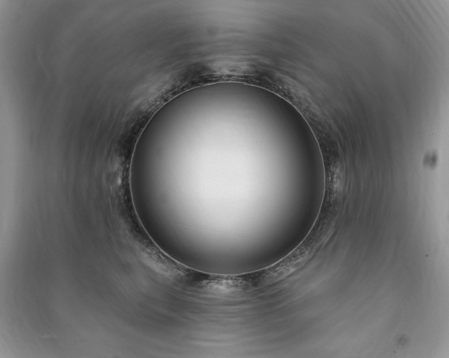 X0000090980567200708091500