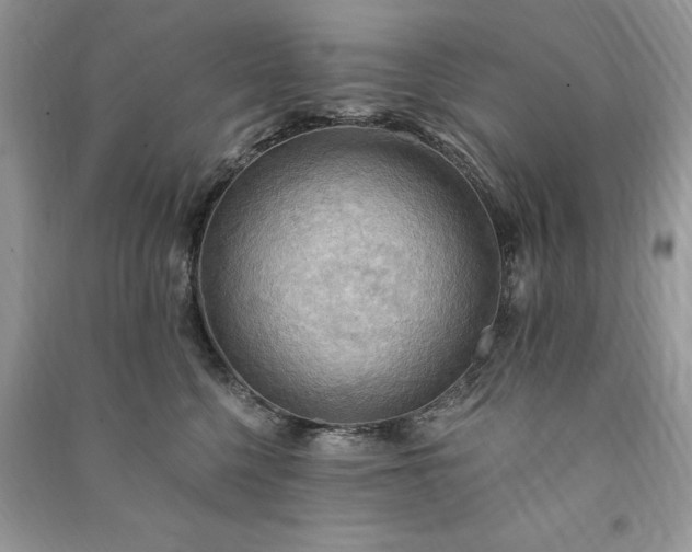 X0000090980568200708091500