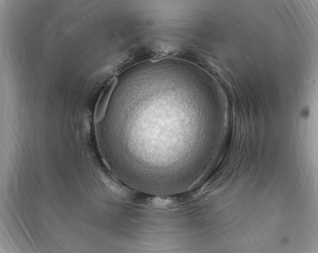 X0000090980570200708091500