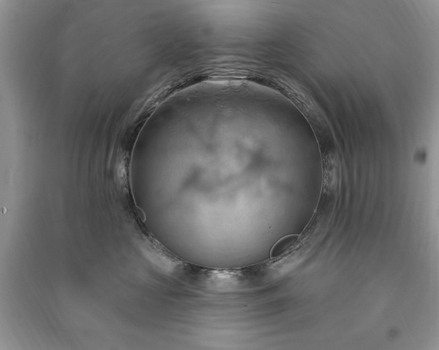 X0000090980573200708091500