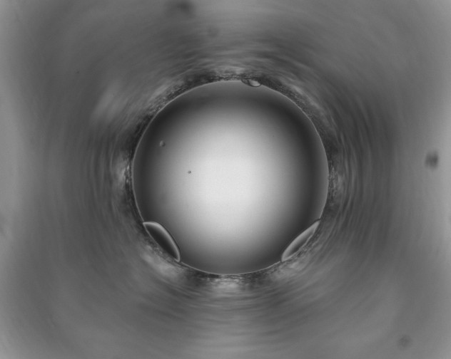 X0000090980574200708091500