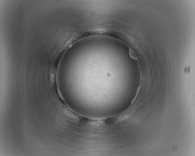 X0000090980576200708091500