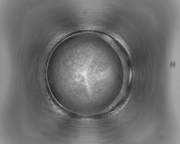 X0000090980577200708091459