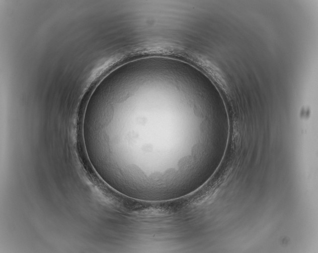 X0000090980578200708091459